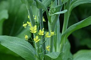 2025-07179620 Tower Hill Botanic Garden, MA